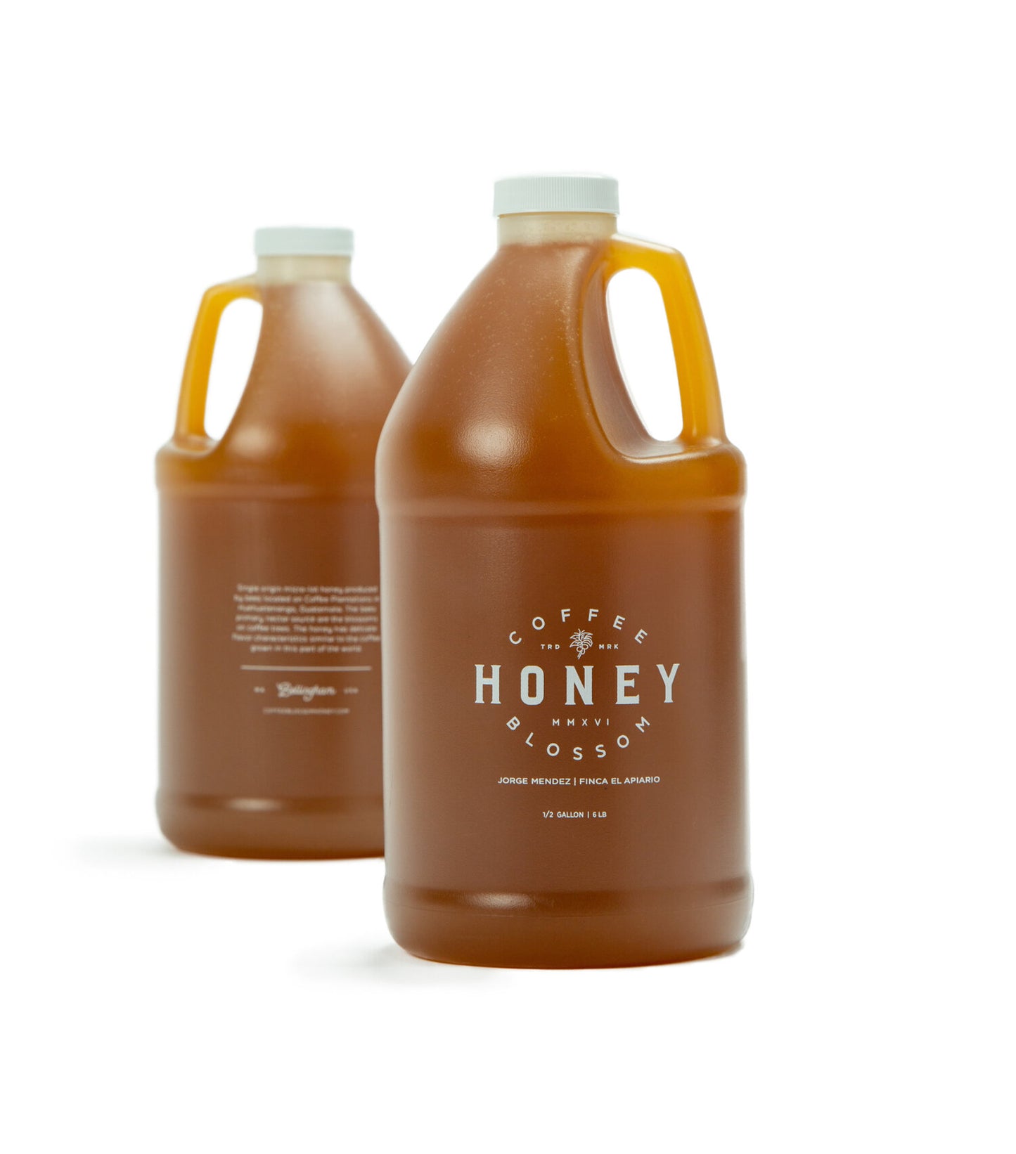 Half Gallon | Coffee Blossom Honey